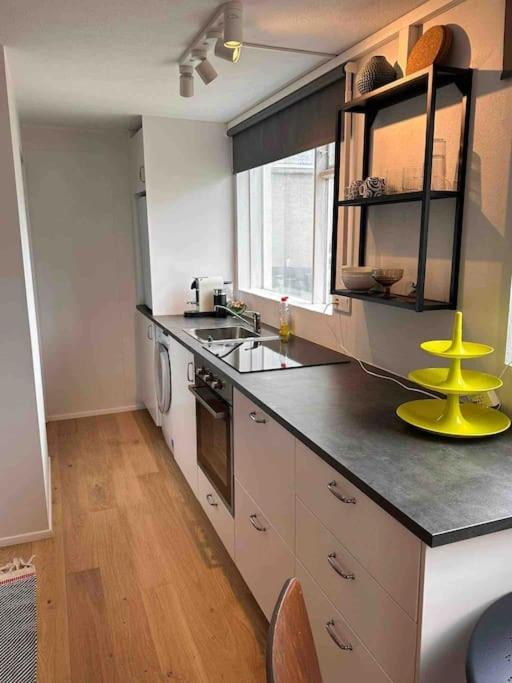 Studio Apartment Reykjavik City Center Экстерьер фото