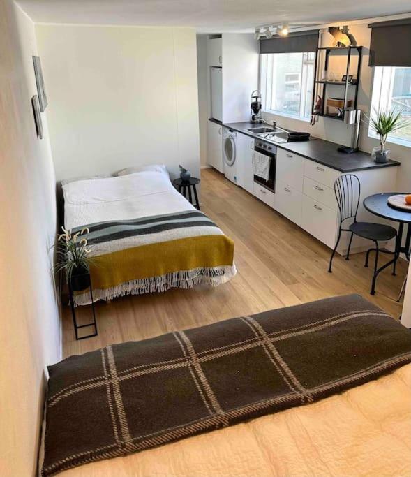 Studio Apartment Reykjavik City Center Экстерьер фото